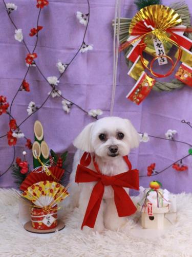 20230110マミちゃん